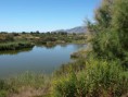 /album/photo-gallery-photogallery/looking-from-the-third-hide-at-rio-guadalhorce-malaga-jpg/